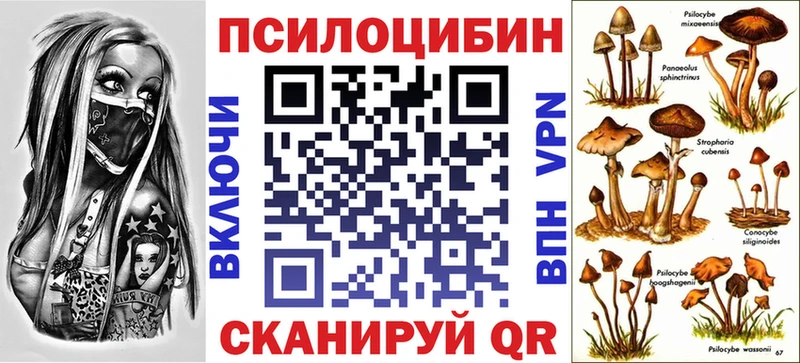 даркнет сайт  Барабинск  Псилоцибиновые грибы MAGIC MUSHROOMS 
